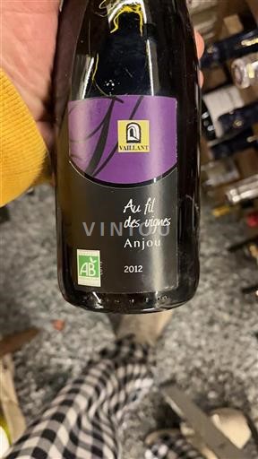 Vale do Loire Anjou Vaillant Au fil des vignes 2012