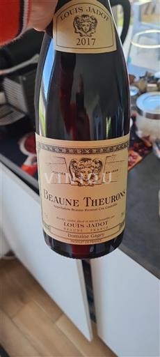Burgundy Not Specified Premier Cru Domaine Louis Jadot Beaune Theurons 2017