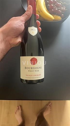 Burgundi Bourgogne Nicole Lamarche 2022