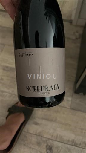 Roussillon Côtes-du-Roussillon Domaine Sol Payré Scelerata Âme Noire 2022