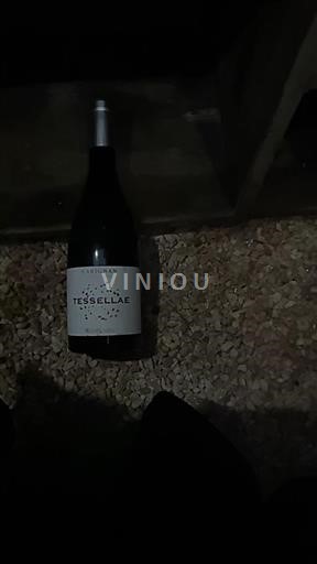 Roussillon Côtes du Roussillon Tessellae Carignan 2020