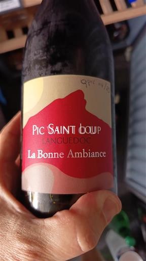 Languedoc Pic-Saint-Loup La Bonne Ambiance 2022