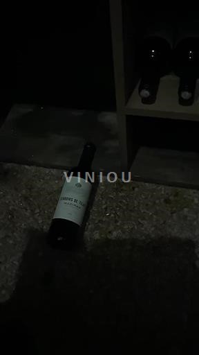 Sydvestfrankrig Madiran Terroirs De Tursan 2019