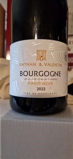 Borgonha Domaine Nathan & Valentin 2022