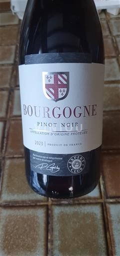 Burgund Dambach La Ville 2023