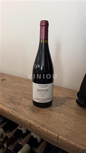 Beaujolais Morgon Joubert Côte du Py 2021