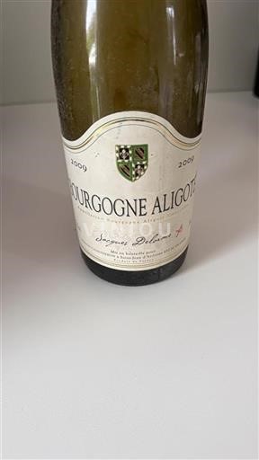 Borgonha Bourgogne-aligoté Jacques Delorme 2009