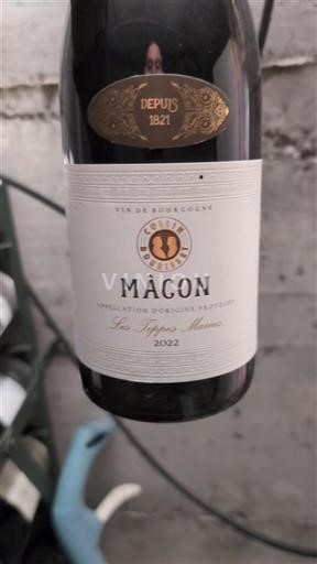 Burgundy Mâcon and Mâcon-Villages Collinbourisset Les Terres Marnes 2022
