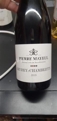 Burgund Gevrey-Chambertin Pierre Mayeul 2019