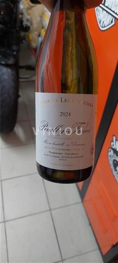 Loirevallei Pouilly-fumé Domaine Les Chaumes 2024