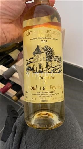 Sudoeste Côtes de Bergerac Domaine Moulin De Peyirat 2018