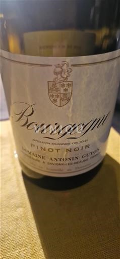 Bourgogne Antonin Guyon 2022
