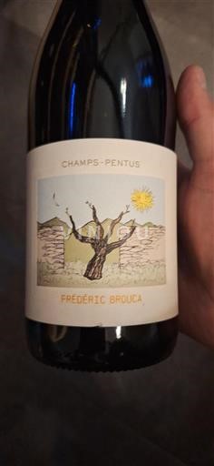 Languedoc Faugères Frédéric Brouca Champs-Pentus 2021