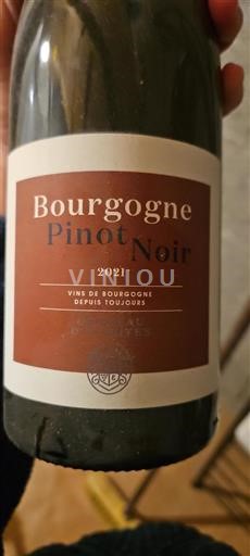Bourgogne Château Etroyes 2021