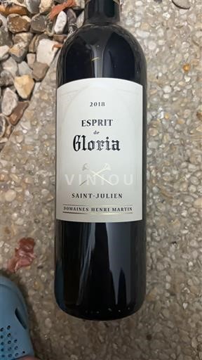 Burdeos Saint-Julien Domaine S Henri Martin Esprit de Gloria 2018
