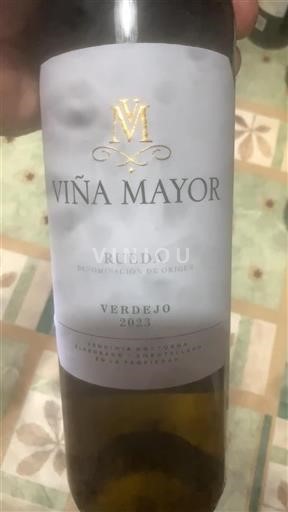 Castilien og León Rueda Viña Mayor Verdejo 2023