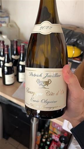 Borgogna Borgogna Côte d'Or Domaine Patrick Javillier Oligocène 2022