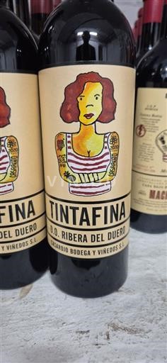 Kastilja in León Ribera del Duero Casarjio Bodega Y Viñedos S.l Tintafina 2020
