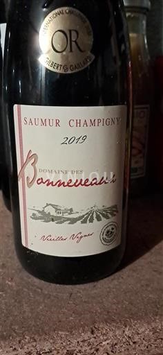 Loire Valley Saumur-Champigny Domaine Des Bonneveaux Vieilles Vignes 2019