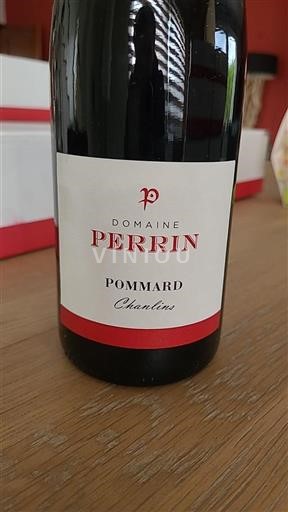 Bourgogne Pommard Domaine Perrin Chanlins 2019