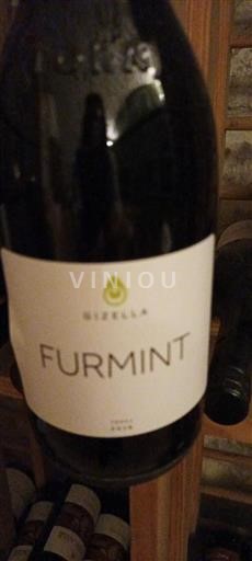 Tokaj Niet gespecificeerd Gizella Furmint 2018