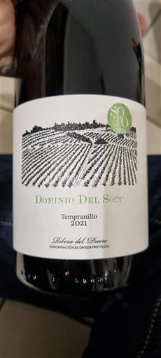 Castilien og León Ribera del Duero Dominio Del Soto 2021