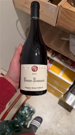 Borgoña Vosne-romanée Grand Cru Domaine Michel Noëllat 2022