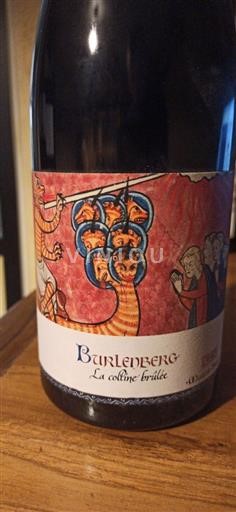 Alsace Marcel Deiss Burlenberg 2020