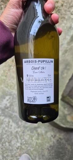 Jura Nicht spezifiziert Fruitière Vinicole De Pupillin Chard'oh! Melon 2022