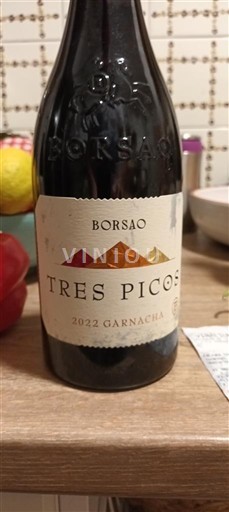 Aragonien Campo de Borja Borsao Tres Picos 2022