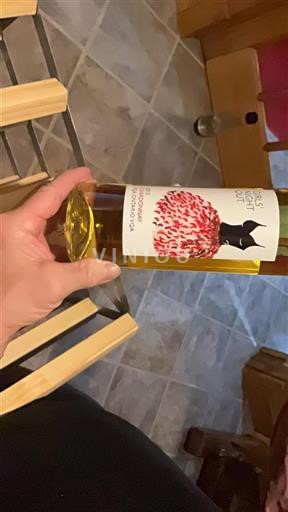 Ontario Prince Edward Countyn VQA Girls' Night Out 2015