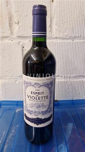Burdeos Moulis-en-Médoc Esprit De Violette 2022