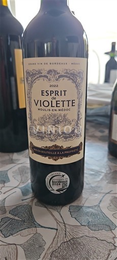 Bordeaux Moulis-en-Médoc Esprit De Violette 2022