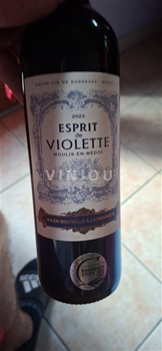 Bordeaux Moulis-en-Médoc Esprit De Violette 2022