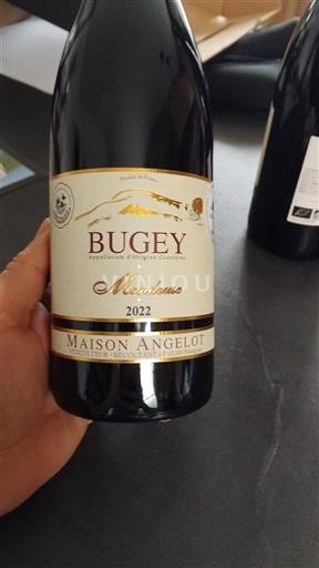 Savoyen und Bugey Bugey Maison Angelot Mondeuse 2022