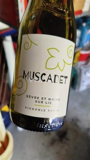 Loirevallei Muscadet-Sèvre-et-Maine Vignoble Papin Niet-geïntegreerd