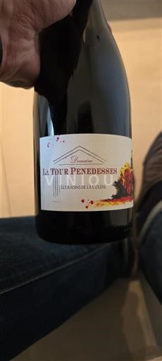 Languedoc Nicht spezifiziert Domaine La Tour Penedesses Les raisins de la Colère 2021