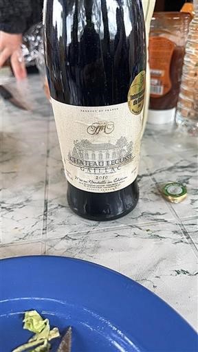 South West Gaillac Château Lecusse 2010
