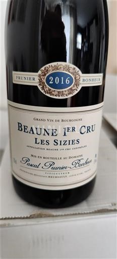 Borgoña No especificado Premier Cru Domaine Pascal Prunierbonheur Les Sizies 2016