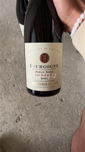 Borgoña Domaine Fougeray De Beauclair Les Sorbins 2022