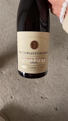 Bourgogne Nuits-Saint-Georges Fouré-roumier-de Fosset Le Coteau des Bois 2023