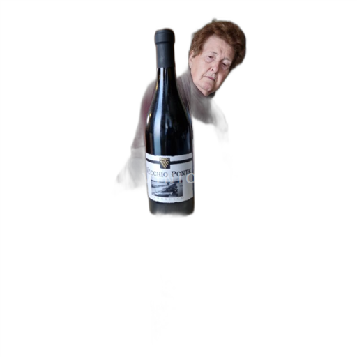 Vin Effervescent Rouge sec Giubertoni Non millésimé Italie Emilie-Romagne Emilia IGT