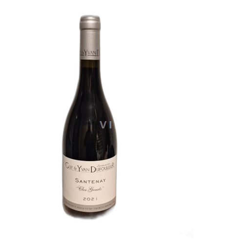 Burgundija Santenay Domaine Guy & Yvan Dufouleur Clos Genets 2021