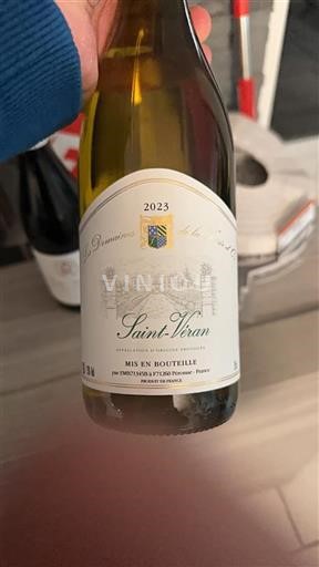 Burgundy Saint-Véran Domaine Les S De La Terre Or 2023