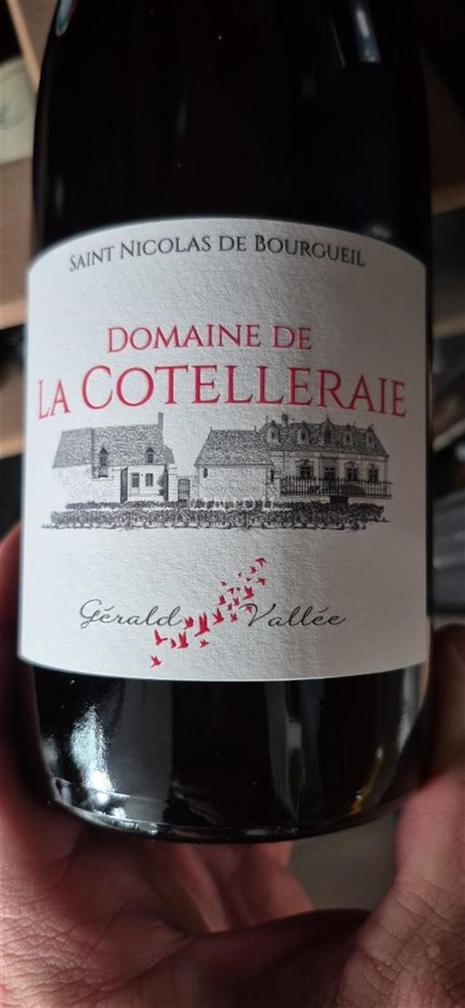 Loire-dalen Saint-Nicolas-De-Bourgueil Domaine La Cotelleraie Ikke årgangsbestemt