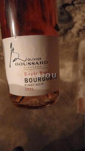 Burgundi Bourgogne Olivier Boussard Rosé 2022