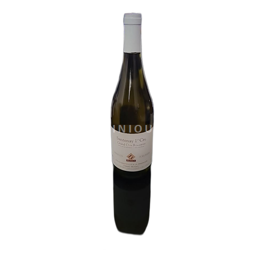 Borgogna Santenay Premier Cru Domaine Pierre Brazey Grand Clos Rousseau 2015