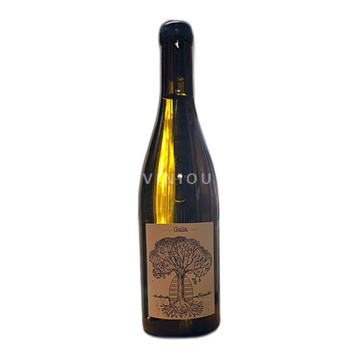 Loiren laakso Domaine Bellevue Jérôme Bretaudeau Gaïa 2020