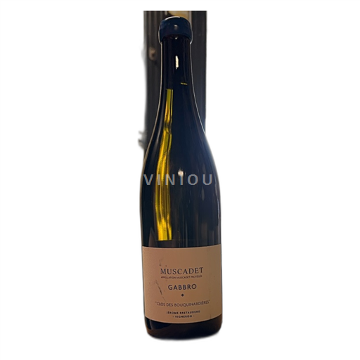 Loiren laakso Domaine Bellevue Jérôme Bretaudeau Gabbro 2020