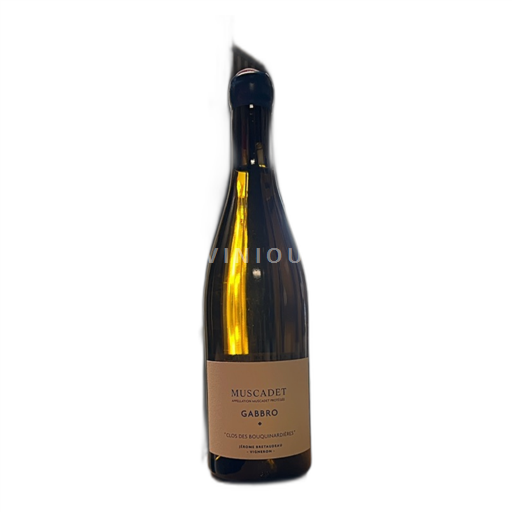 Loiren laakso Domaine Bellevue Jérôme Bretaudeau Gabbro 2021